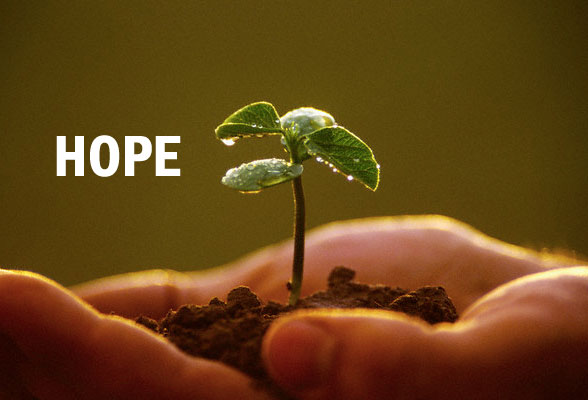 Sulawesi Timur, Harapan Baru Pemerataan Ekonomi Kawasan Timur